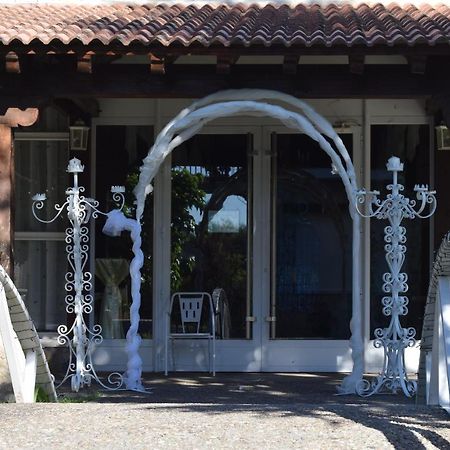 Hotel Las Casitas Del Jardin Tudela de Duero Buitenkant foto